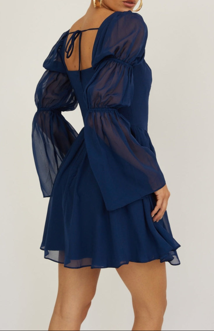 Gia Chiffon Long Sleeve Mini Dress