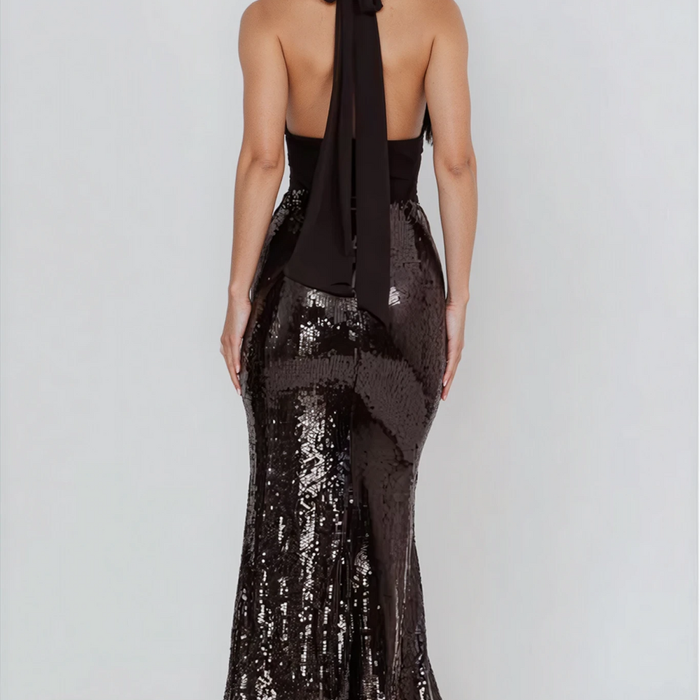 
                      
                        Giselle Sequin Bodice Maxi Dress
                      
                    