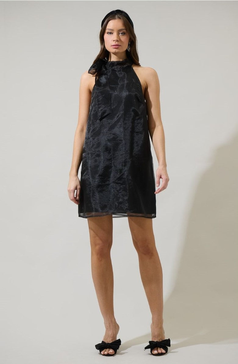 London Organza Mini Dress