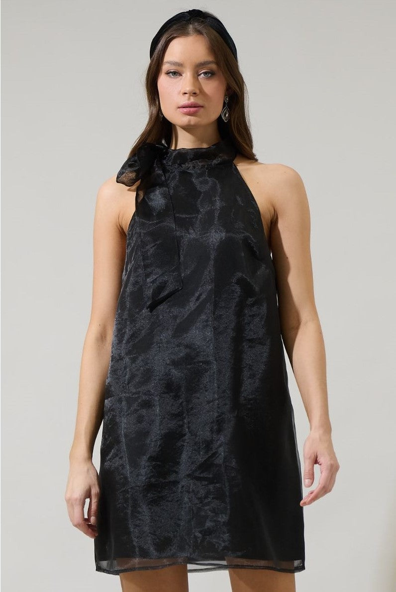 London Organza Mini Dress