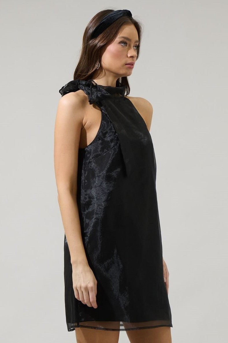 London Organza Mini Dress