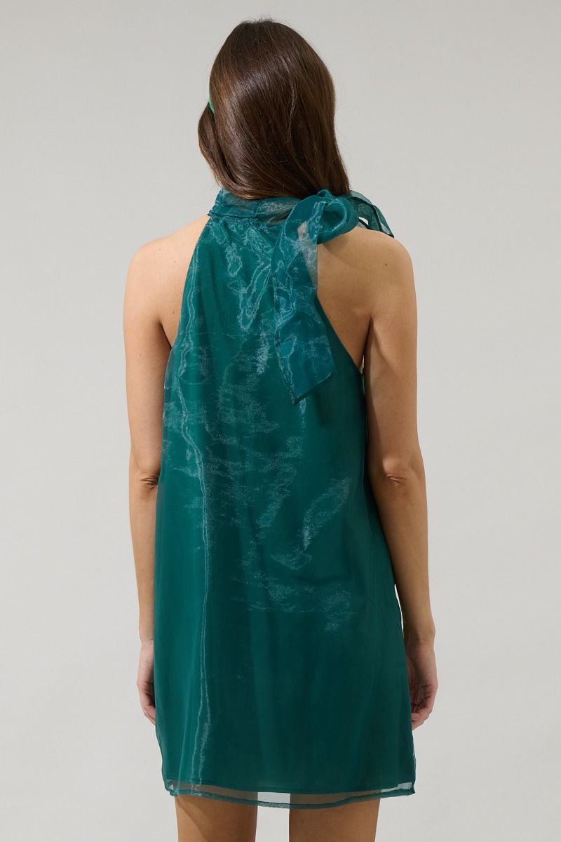 London Organza Mini Dress