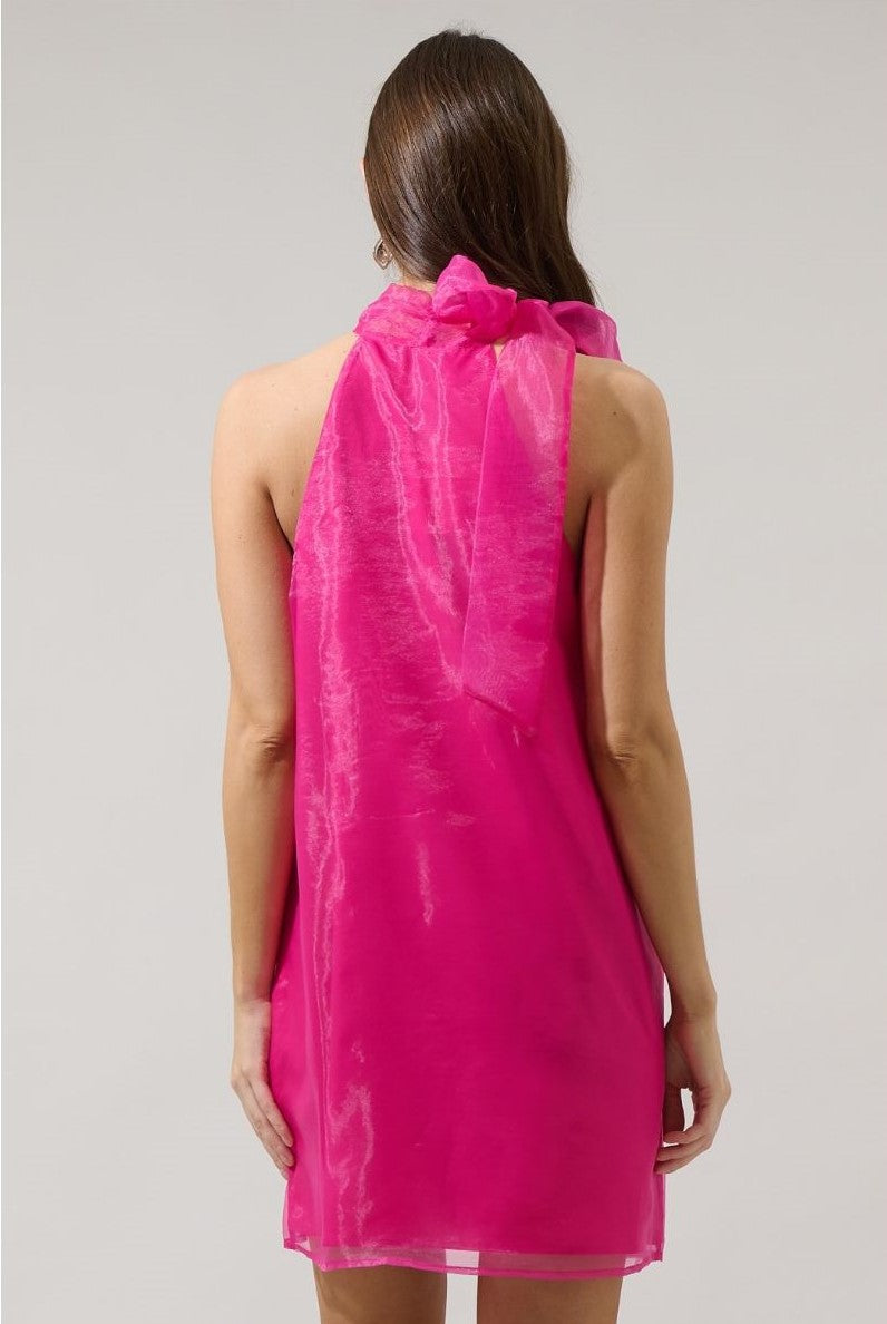 London Organza Mini Dress