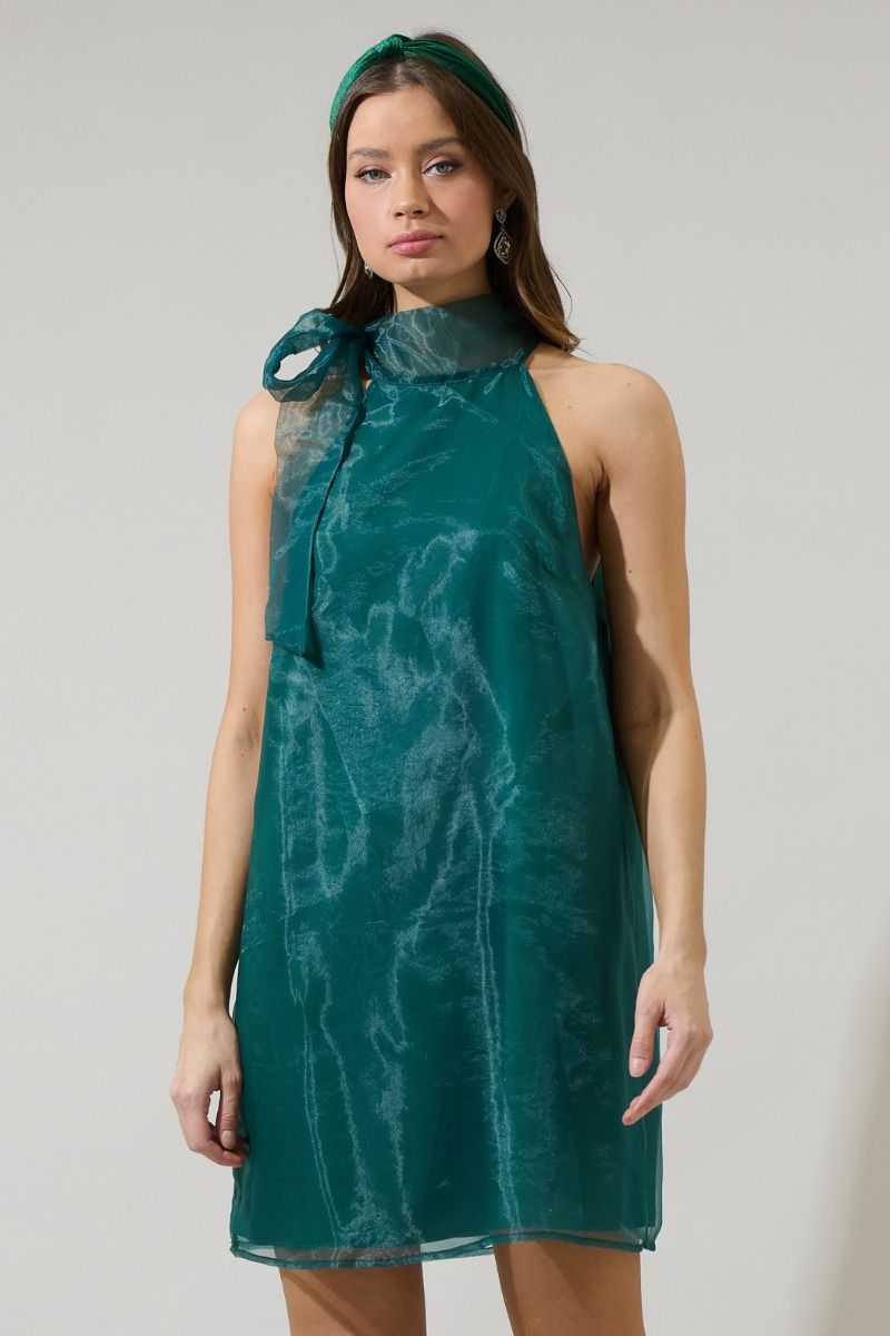 London Organza Mini Dress