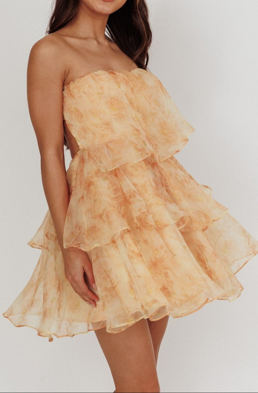 Lorena Sleeveless Chiffon Mini Dress