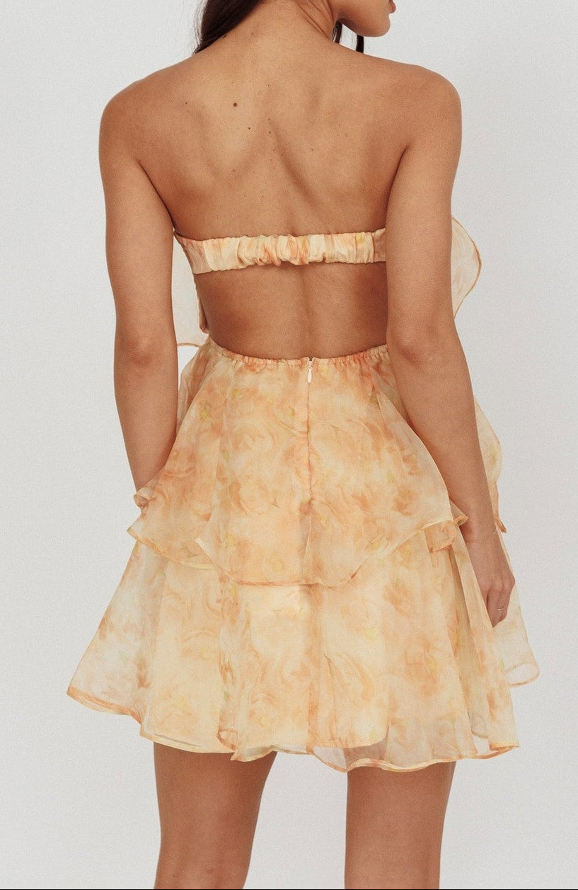 Lorena Sleeveless Chiffon Mini Dress