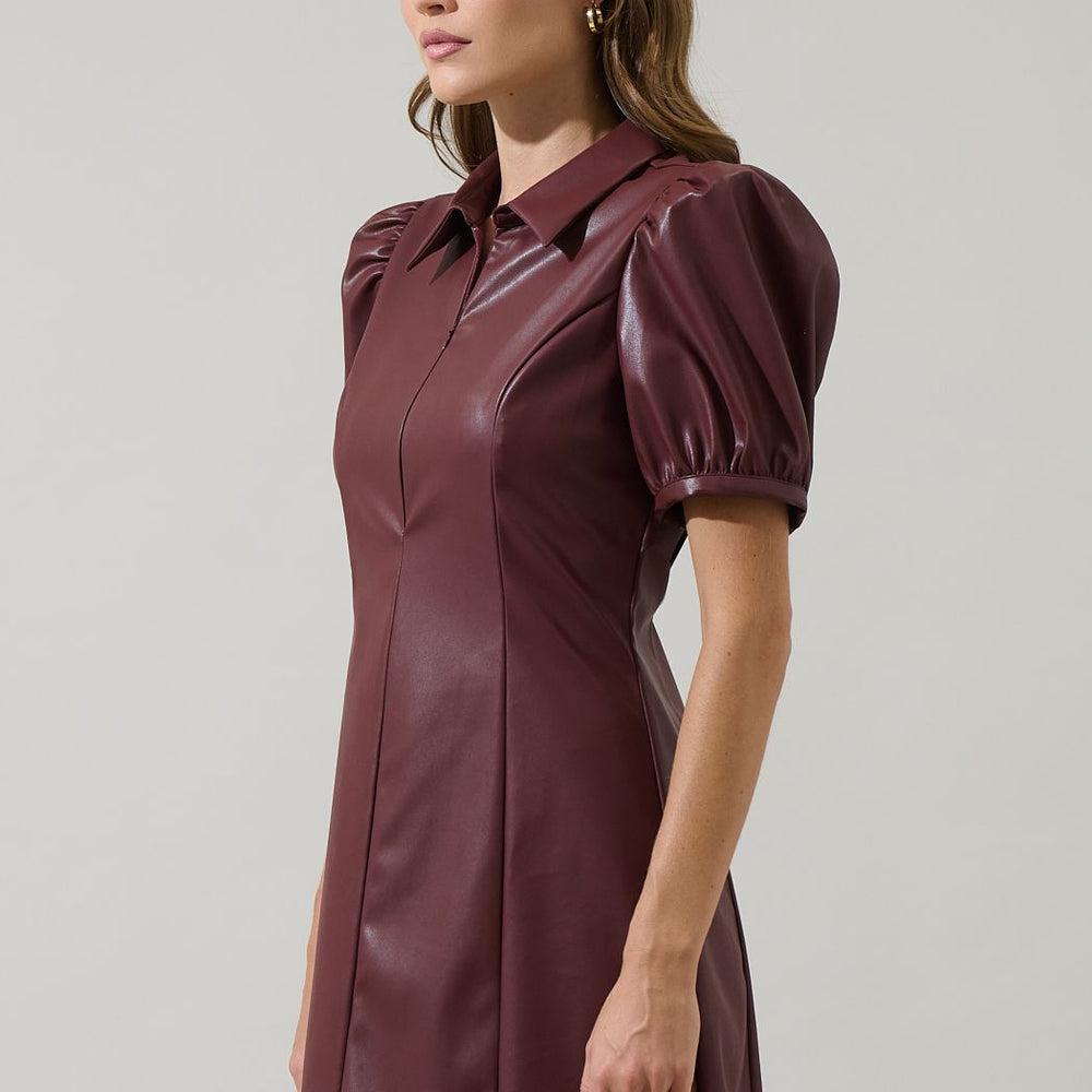 Nicole Leather Kezzy A-line Mini Dress