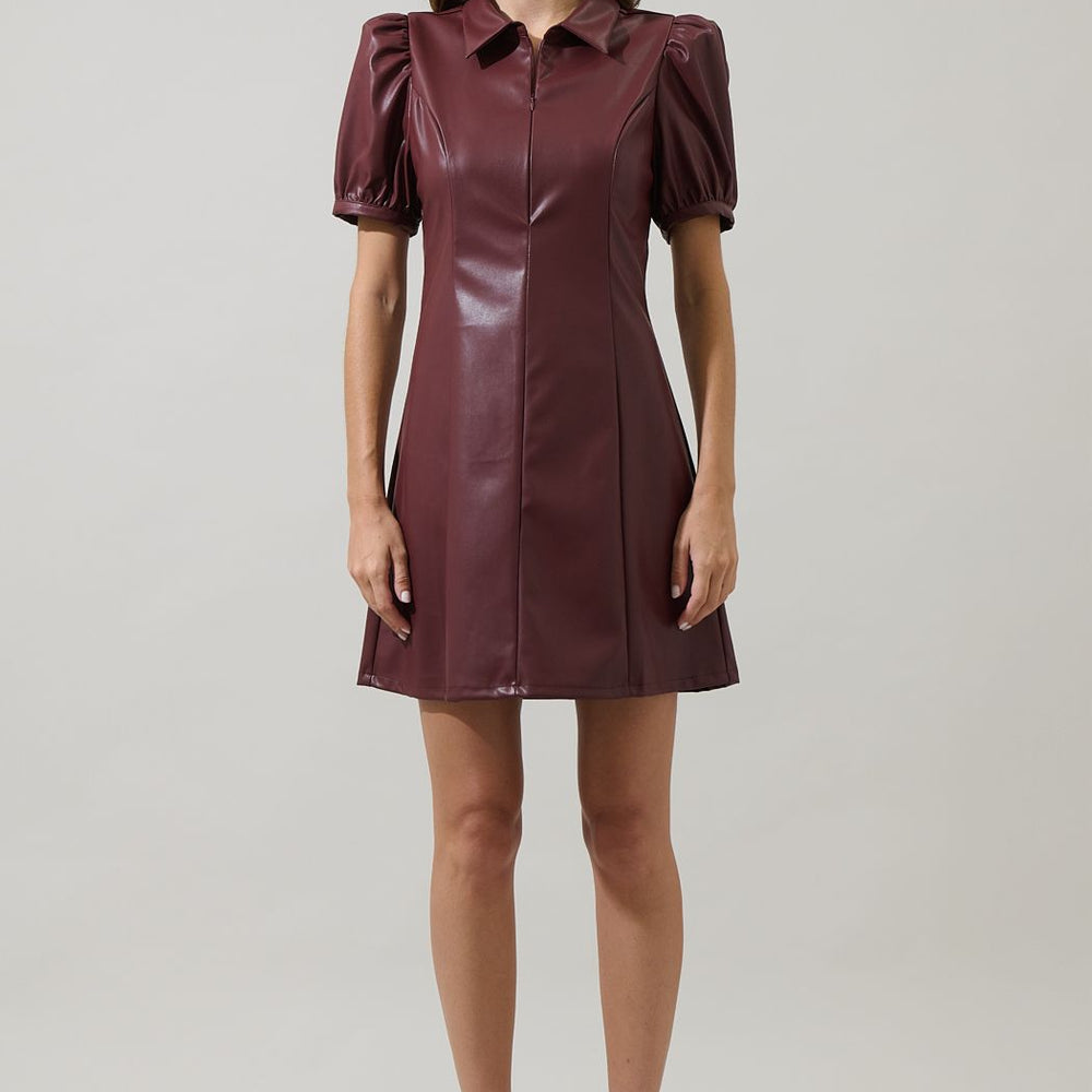 
                      
                        Nicole Leather Kezzy A-line Mini Dress
                      
                    