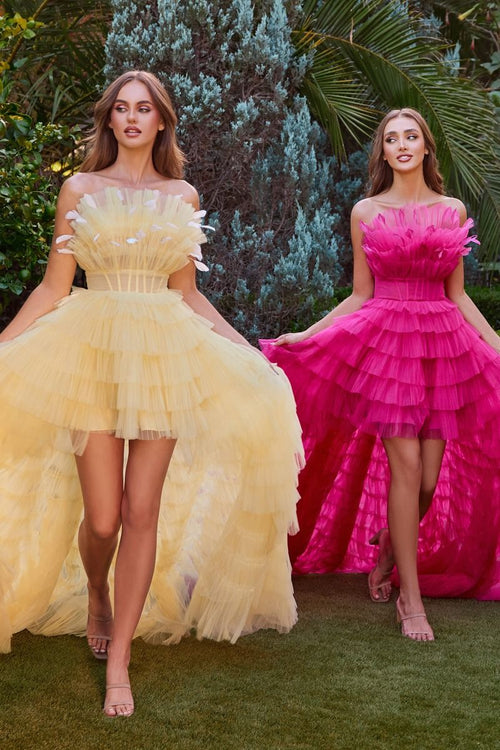 Aurae High Low Tulle Gown with Feather Details