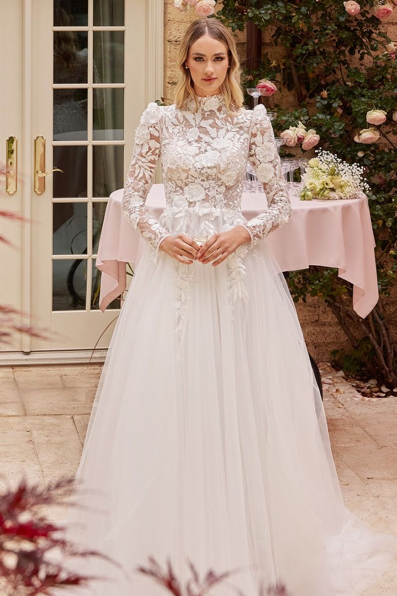 Aneva Long Sleeve Lace Wedding Maxi Gown