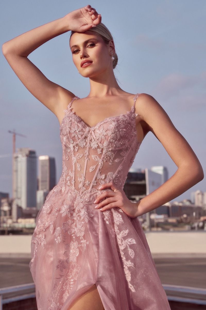 Zelda A-Line Layered Tulle Dress