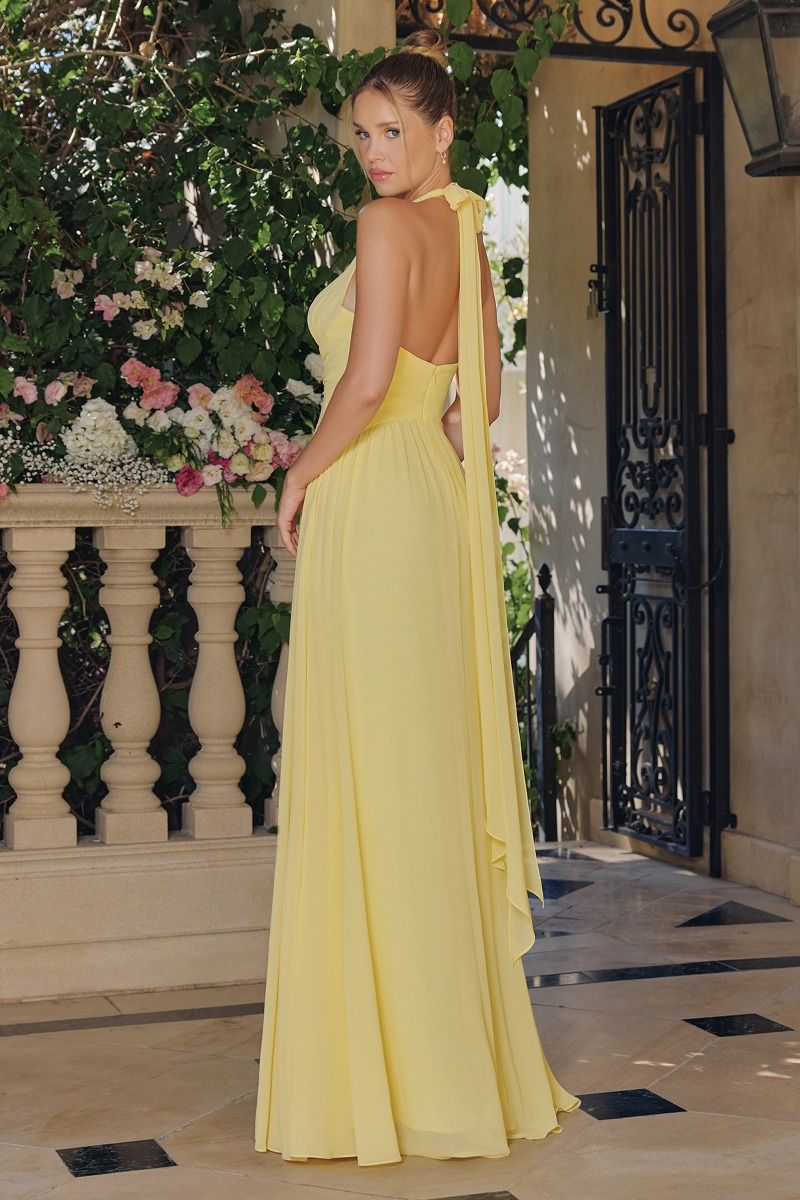 Tiara Chiffon Halter A-Line Maxi Dress